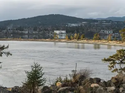 View 11