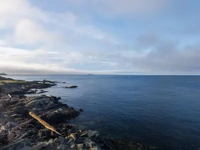 View 53