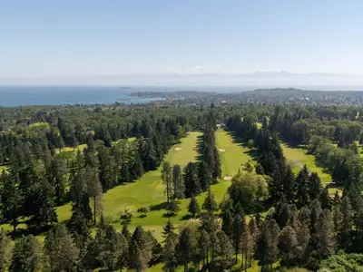 View 71