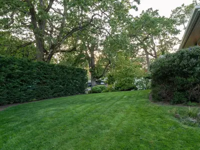 View 60