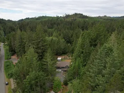 View 77