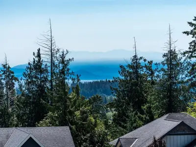 View 49