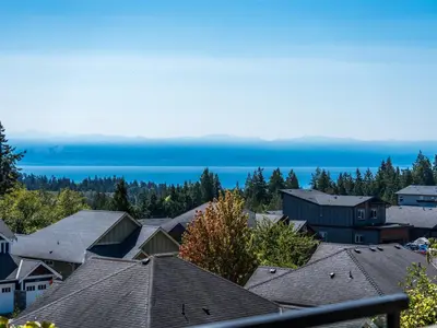 View 50