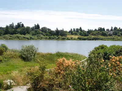 View 38