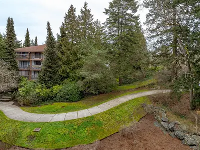 View 29