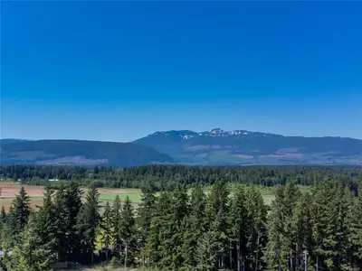 View 61
