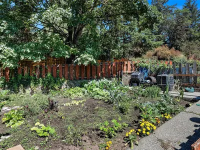 View 53