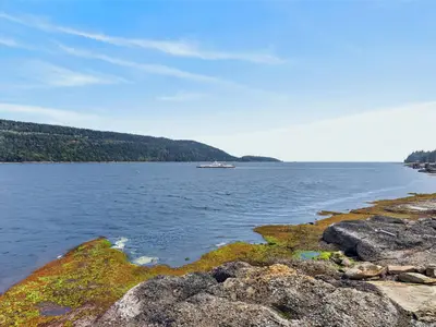 View 66