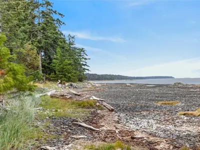 View 69