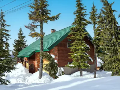 View 49