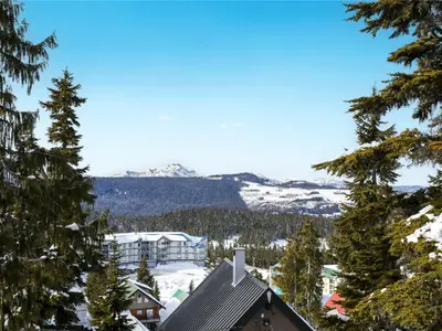 View 25