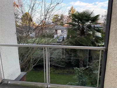 View 14