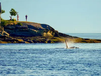 View 10