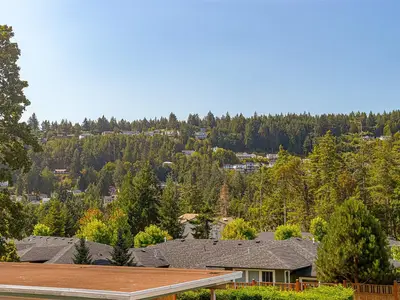 View 36