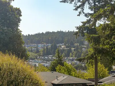 View 35