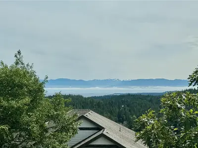 View 14