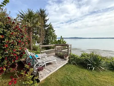 View 50