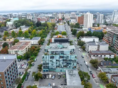 View 31