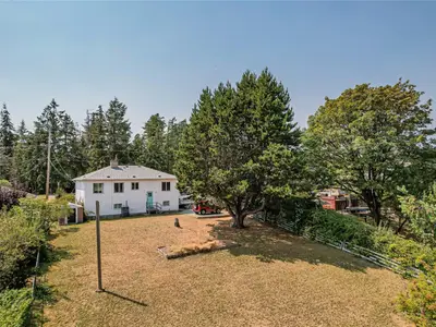 View 38