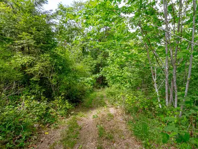 View 35