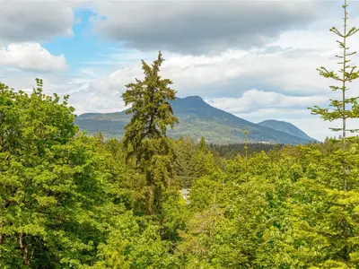 View 31