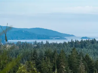 View 22