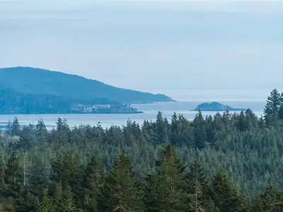 View 3