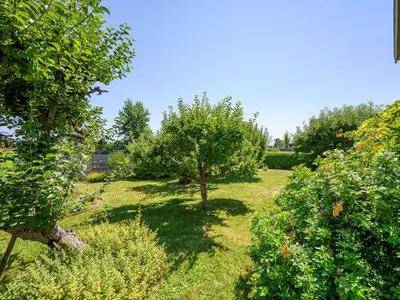 View 47