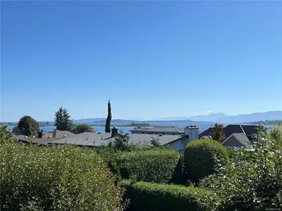 View 59