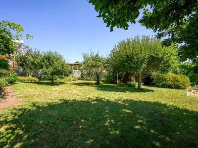 View 39