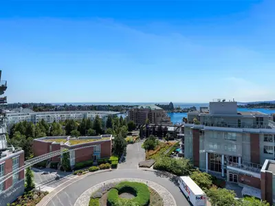 View 39