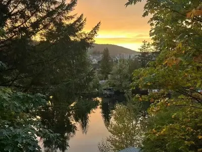 View 54