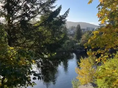 View 11