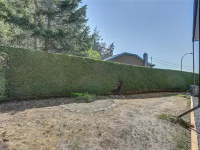 View 47