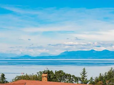 View 14