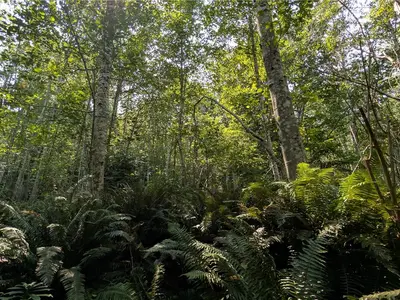 View 10