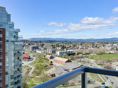 View 40