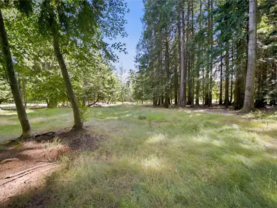 View 29