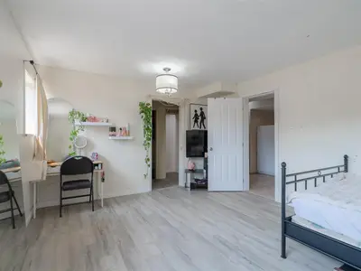 View 24
