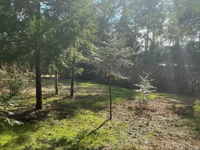 View 6