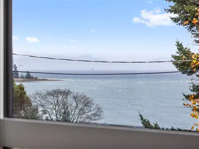View 43