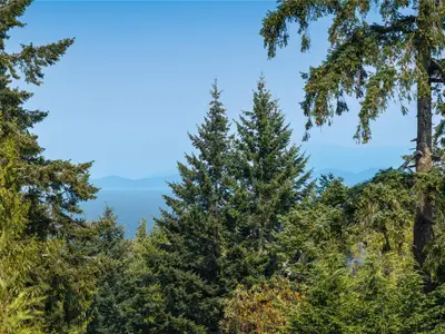 View 41
