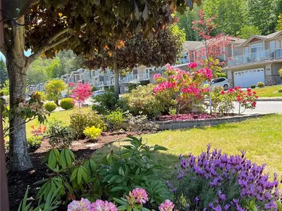 View 51