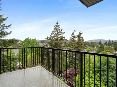 View 24