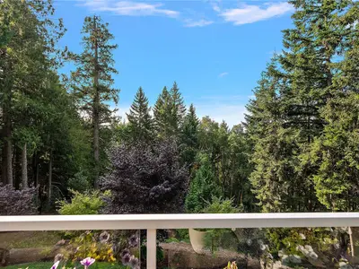 View 40