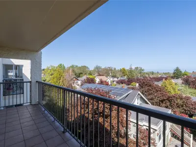 View 24