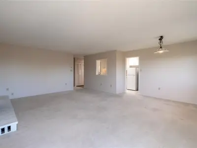 View 15