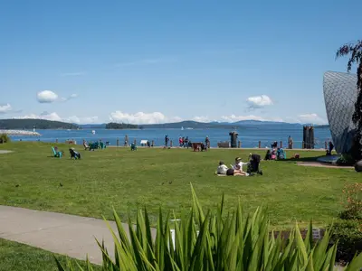 View 39