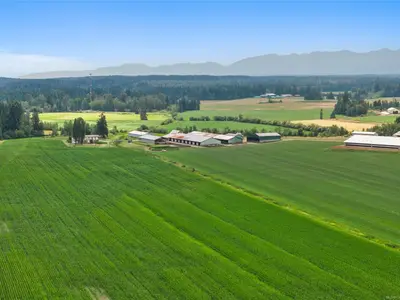 View 33
