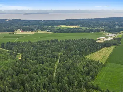 View 35